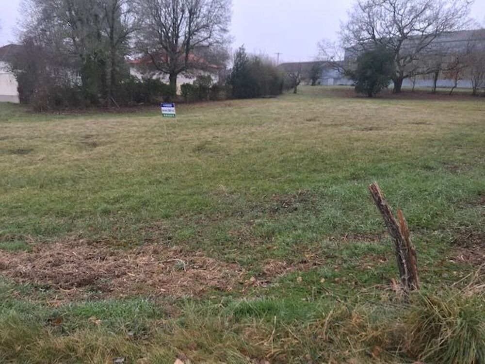 Vente Terrain terrain constructible 2800 M2        24000 €
18190 Venesmes Venesmes