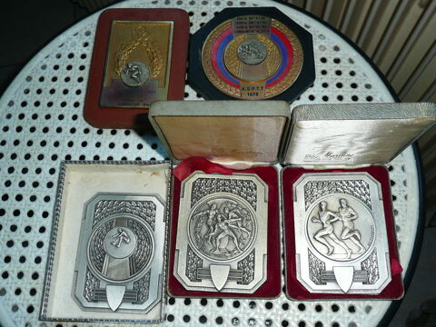 Gros lot de mdailles sportive 26 mdailles 104 Bordeaux (33)