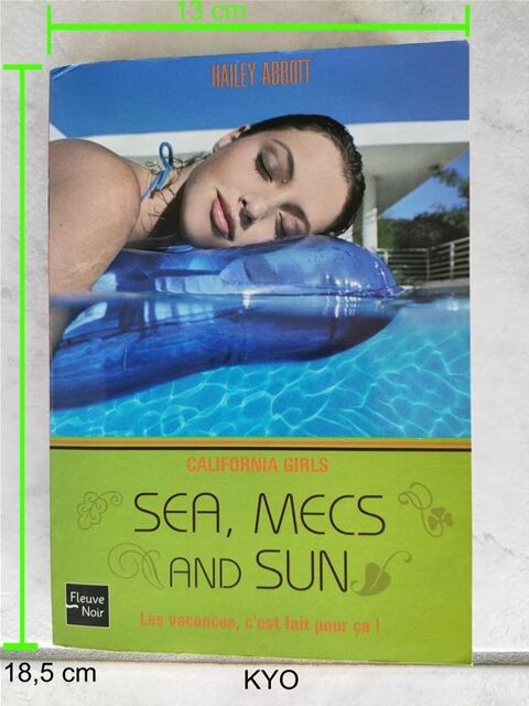 Sea, mecs and Sun - livre fran�ais - Excellent �tat 4 Foncine-le-Haut (39)