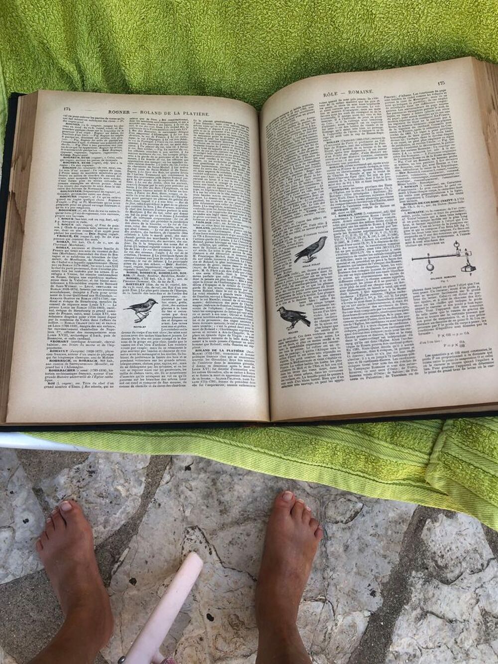 Dictionnaire fran&ccedil;ais illustr&eacute; de 1897 Livres et BD