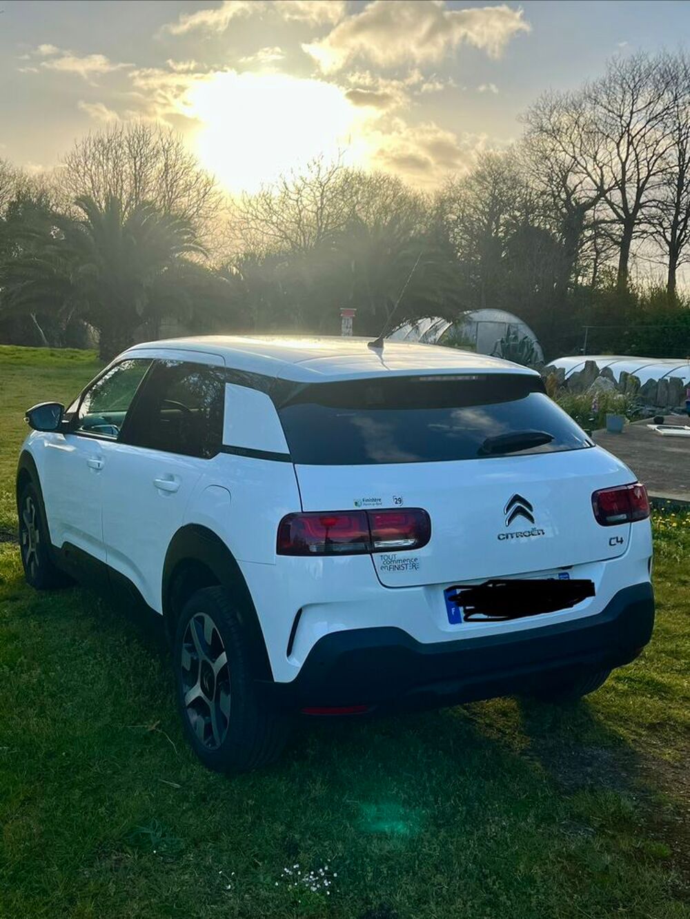 C4 cactus C4 Cactus BlueHDi 120 S&S EAT6 Shine Business 2019 occasion 29510 Langolen