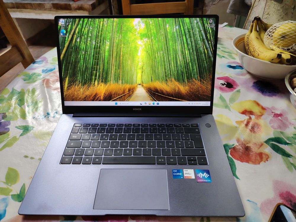 HONOR MagicBook 15 2021 Matériel informatique