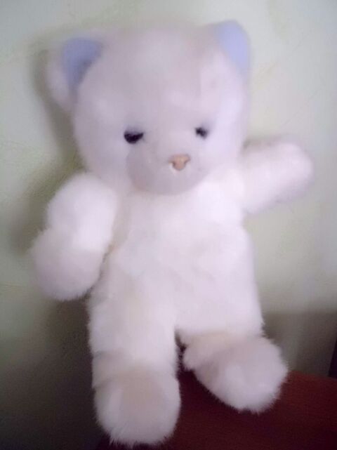 CHAT BLANC NOUNOURS 18 Oignies (62)