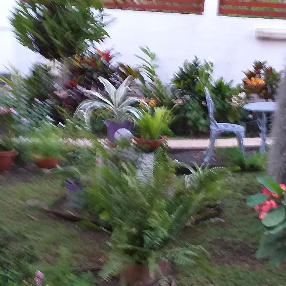 Location Maison bas de villa Guadeloupe