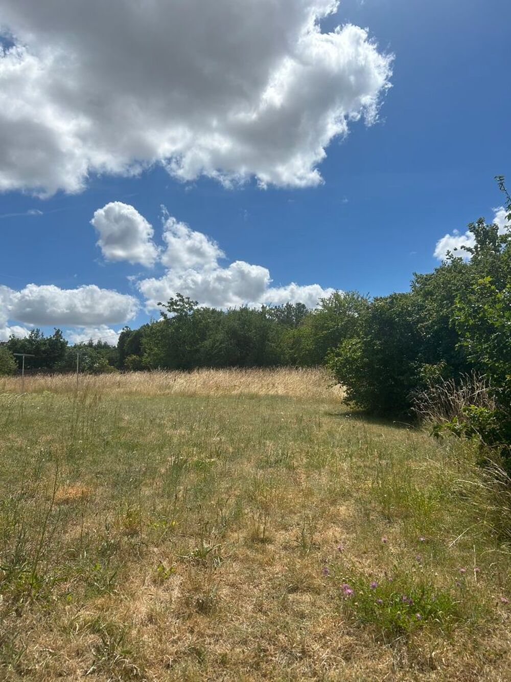 Vente Terrain Rare à Chinon : terrain constructible au calme Chinon