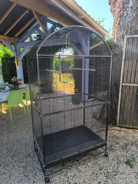 grande cage pour perroquets ou grandes perruches 250 71370 Saint-germain-du-plain