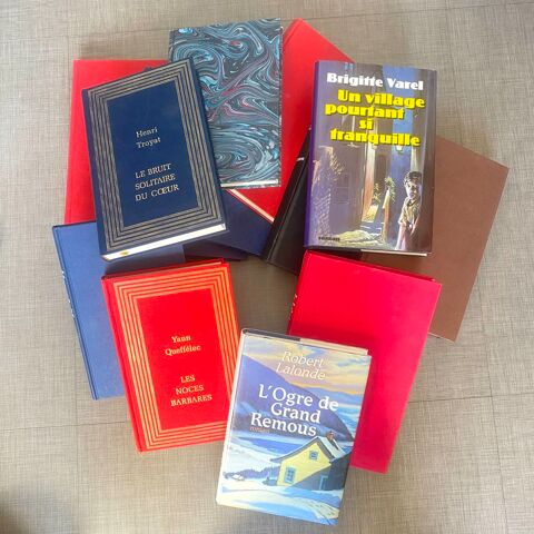 13 livres romans sur l'enfance (lot 2) 25 Nantes (44)