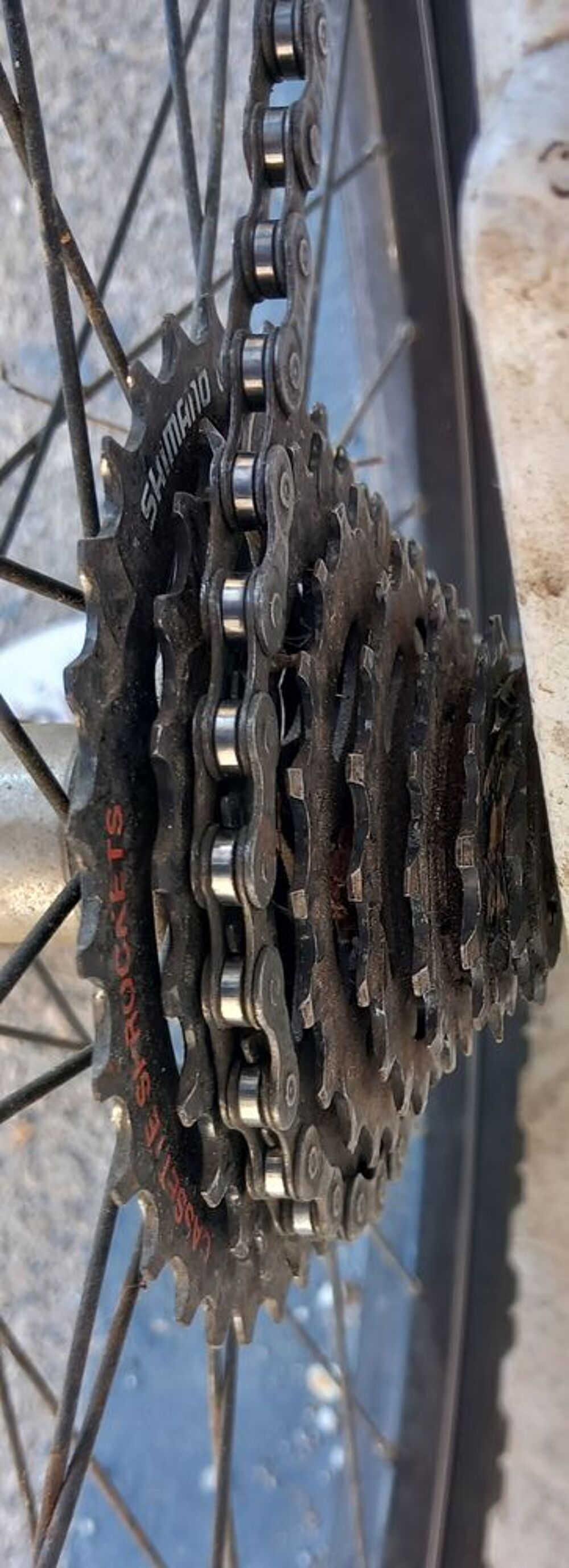 VTT Lapierre femme Vélos