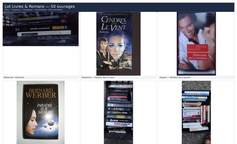 Lot 50 livres romans occasion  Polar, suspense, classique 85 Servas (01)