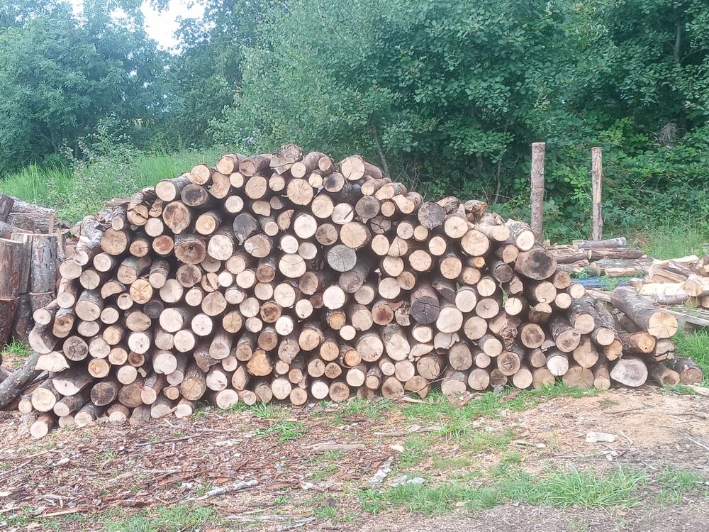 bois de chauffage Jardin