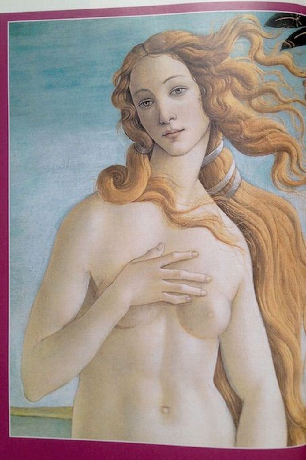 LIVRE ET DVD LES PLUS GRANDS MUS&Eacute;ES D'EUROPE Livres et BD