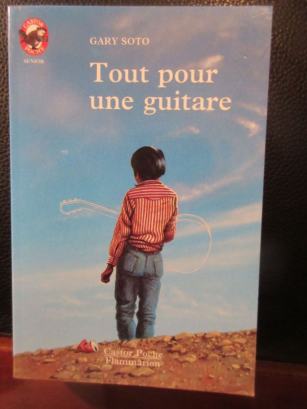 2 livres enfant Livres et BD