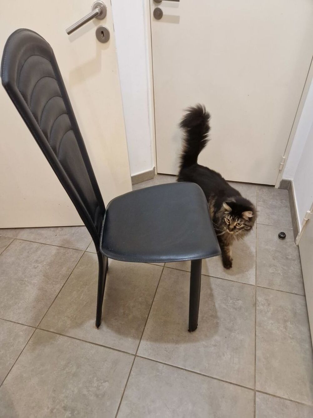 4 Chaises en cuir Meubles