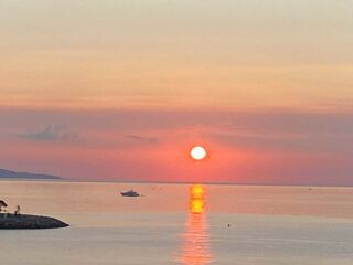  Appartement � vendre 2 pi�ces 51 m�