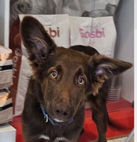 ORUS 300 27620 Gasny