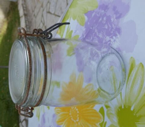 Bocaux Le Parfait 0,75 litre : TBE 1 vry (91)
