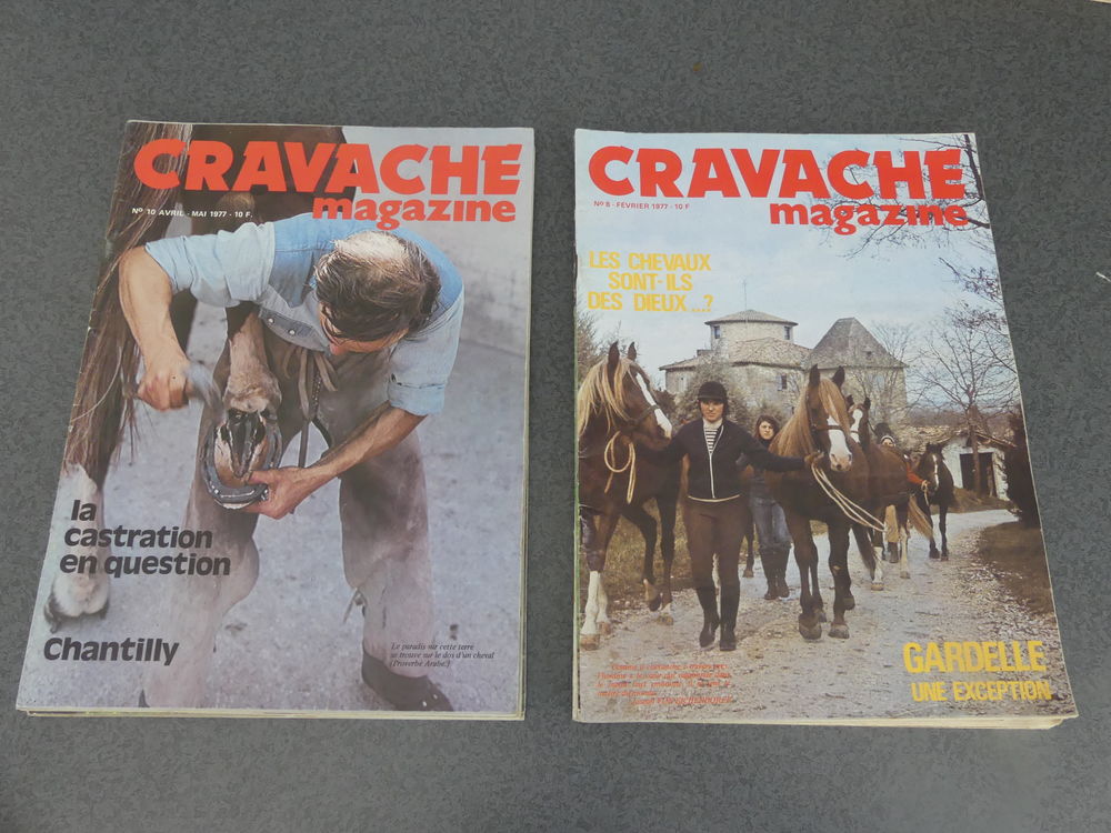 magazine cravache 
