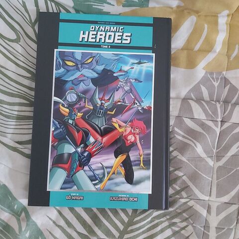 Dynamic Heroes
27 Meysse (07)