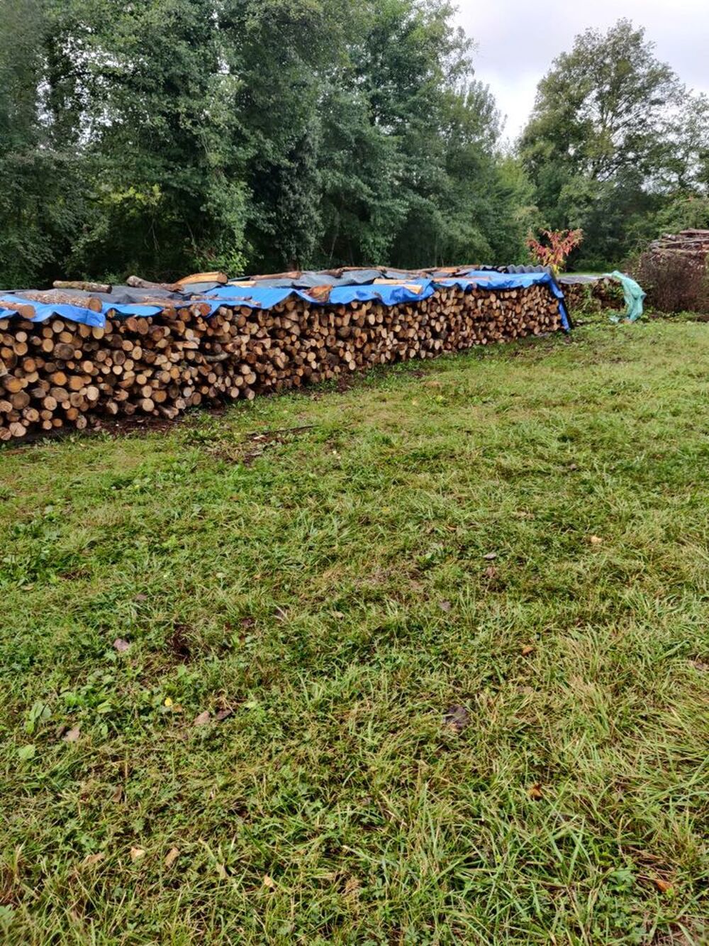 Bois de chauffage Bricolage