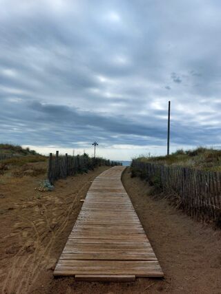 Location  Appartement 