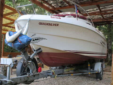 Bateaux &agrave; moteur P&ecirc;che-promenade 2006 occasion Ch&acirc;teau-Renault 37110