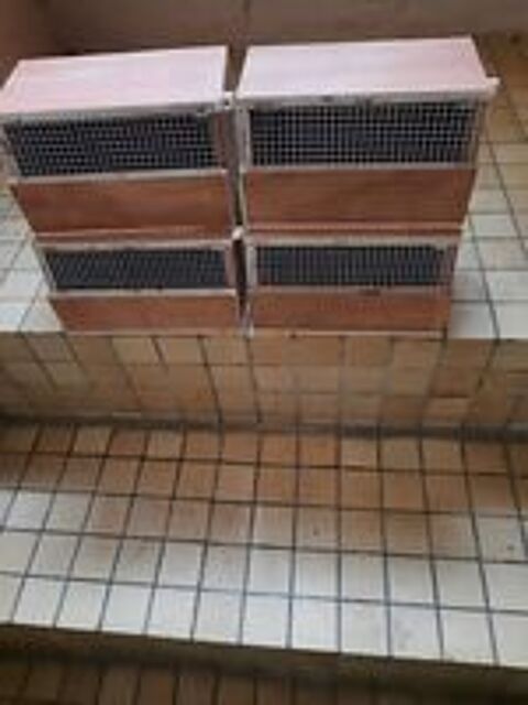   Petites cages de transport 