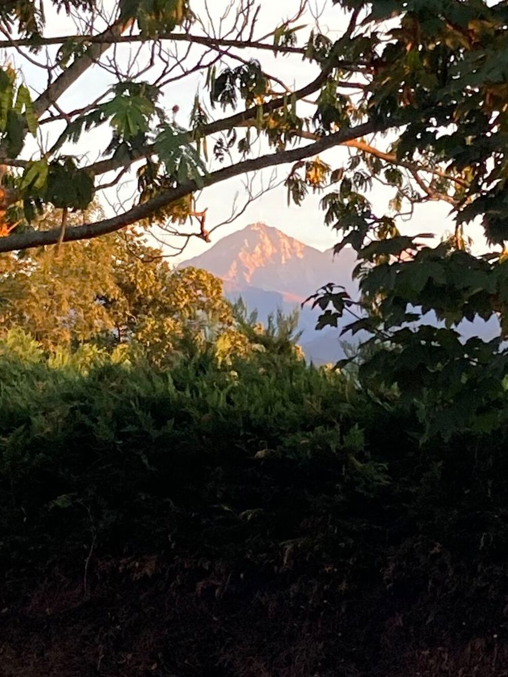 Vente Maison Maison 3 chambres vue direct sur la chaîne des Pyrénées Montgaillard