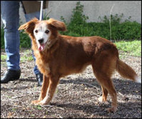   Petite LUNA cherche une famille 