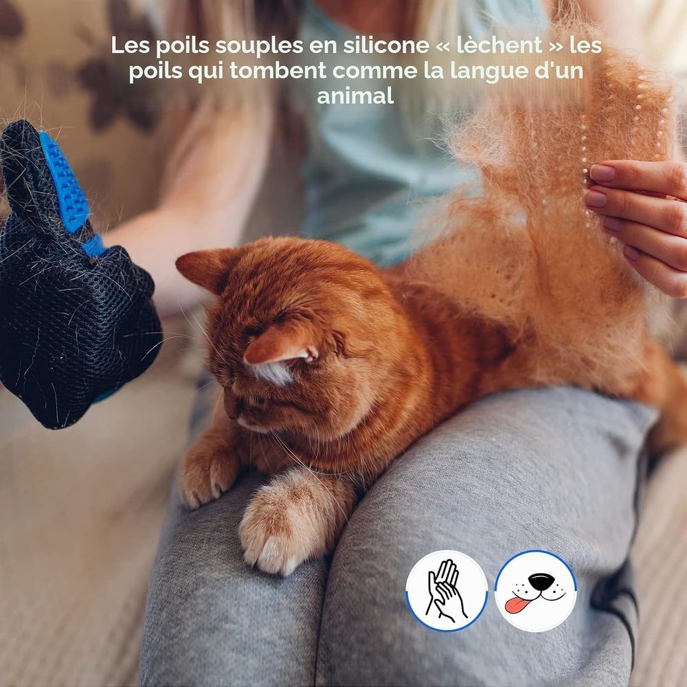 Gant de Toilettage pour Animaux de Compagnie - Neuf Jeux / jouets