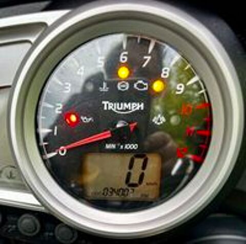 TRIUMPH 2007 occasion 26130 Saint-Paul-Trois-Châteaux