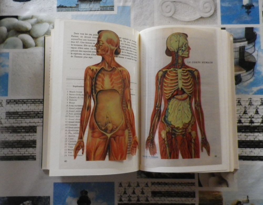 LA FEMME par le Docteur H. PAULL Livres et BD