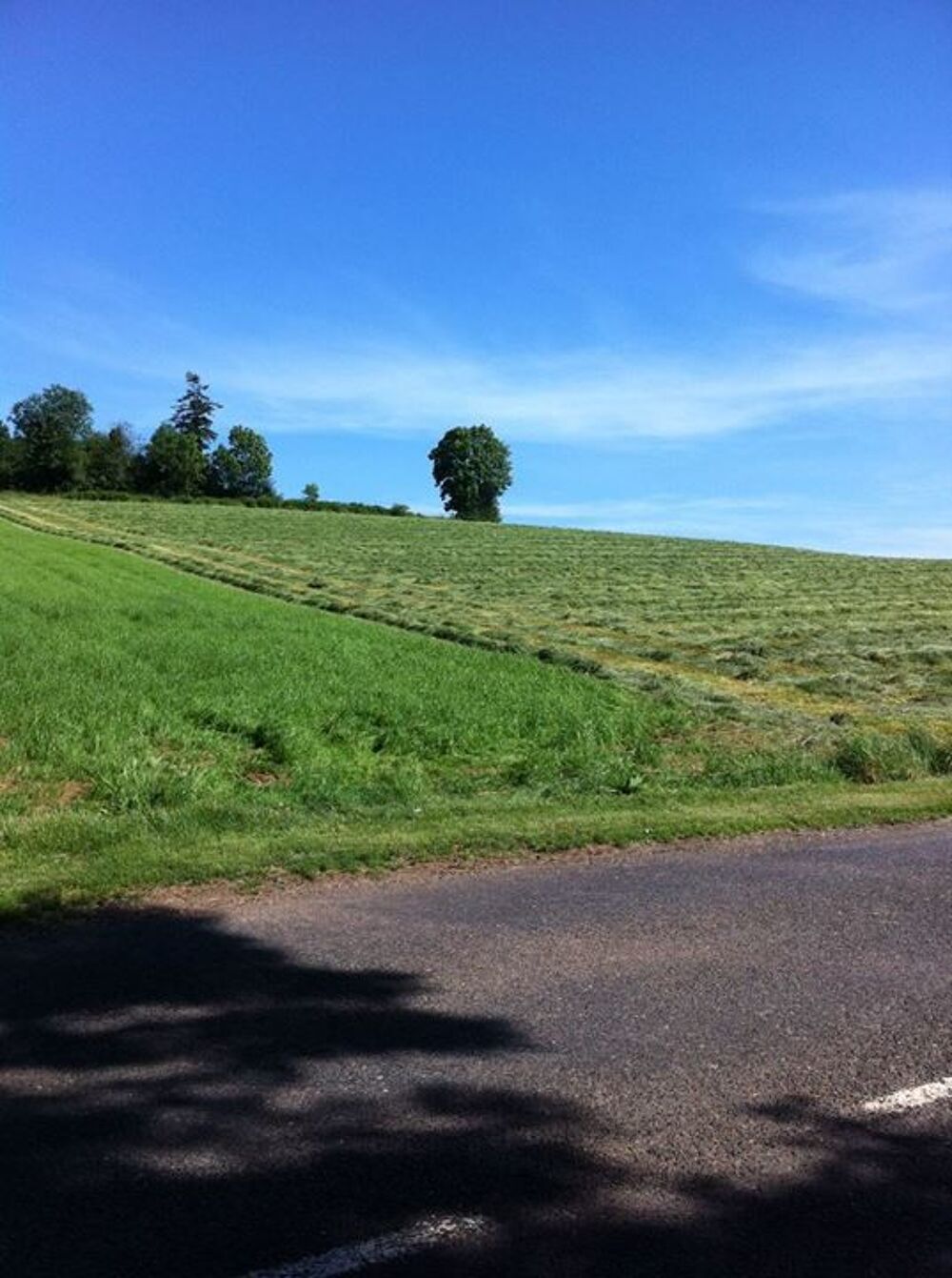 Vente Terrain Terrain - 5792m ² Le fraysse