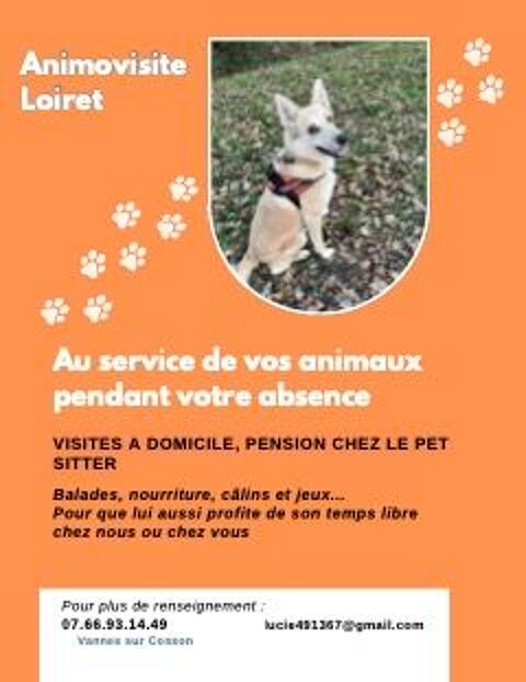 garde d'animaux de compagnie 45510 Vannes-sur-cosson