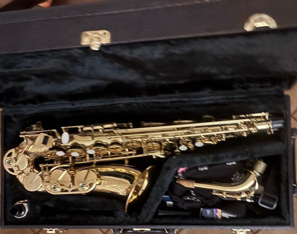 Saxophone Alto Hohner Instruments de musique