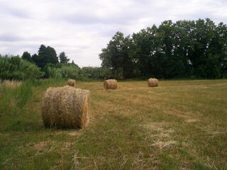  Terrain � vendre 10000 m� Latour-bas-elne