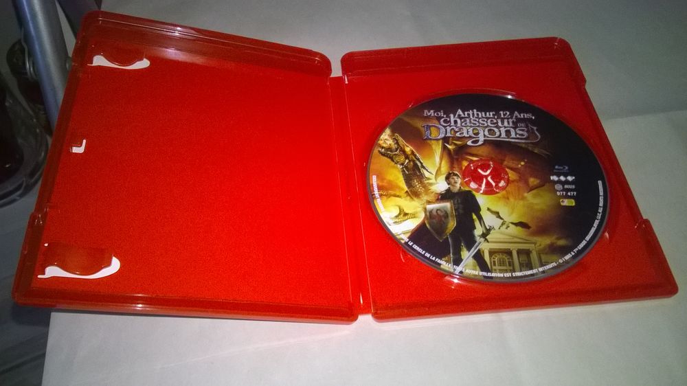 DVD Blu-ray
Moi, Arthur, 12 ans, chasseur de dragons
2010
DVD et blu-ray