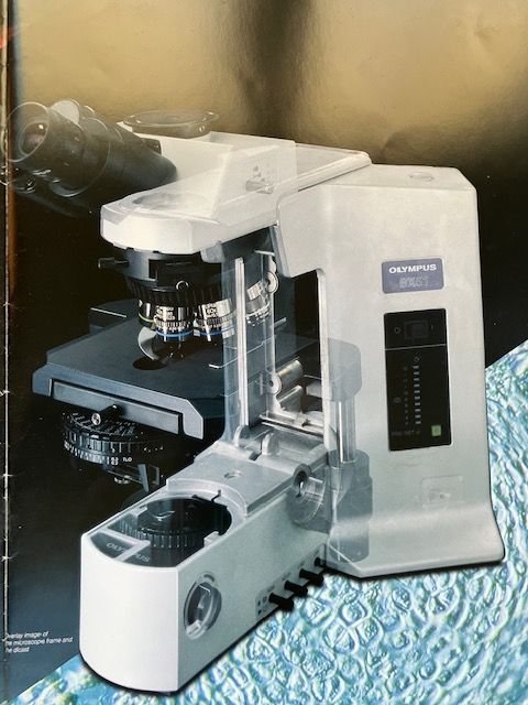 Microscope Olympus 10000 97118 Saint-franois