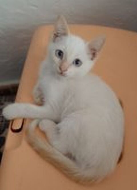   EDUARD 