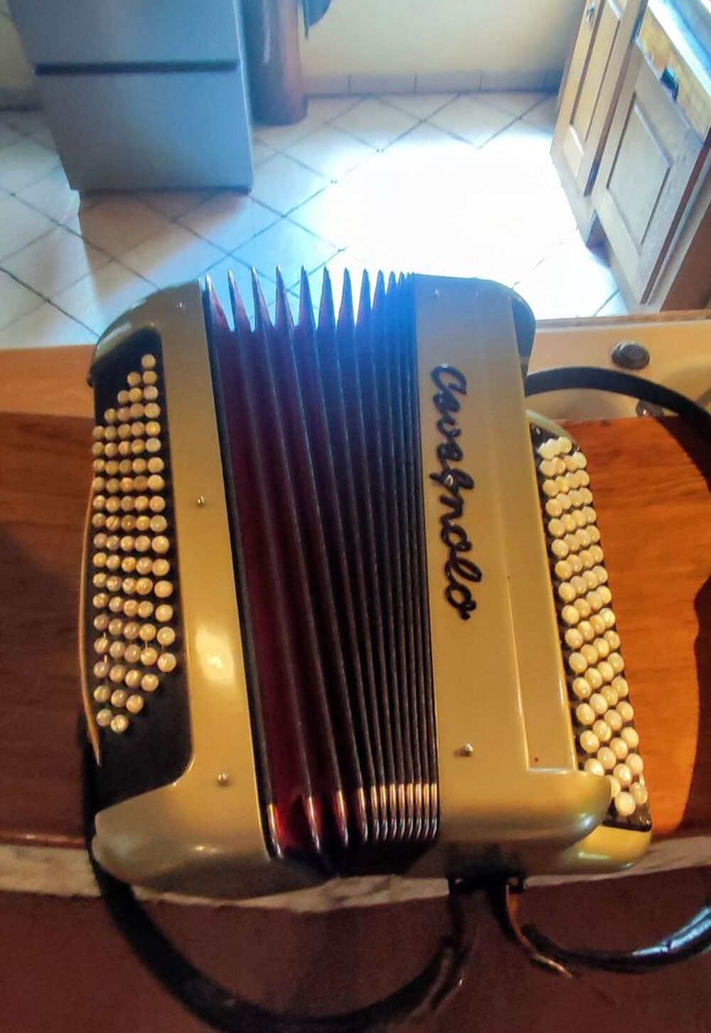 Accord&eacute;on diatonique Cavagnolo Instruments de musique