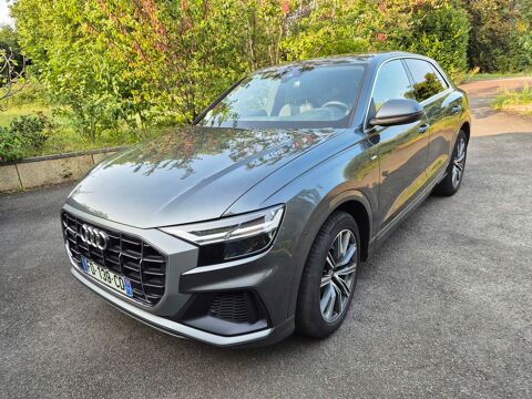 Audi Q8 50 TDI 286 Tiptronic 8 Quattro S line 2019 occasion Bormes-les-Mimosas 83230