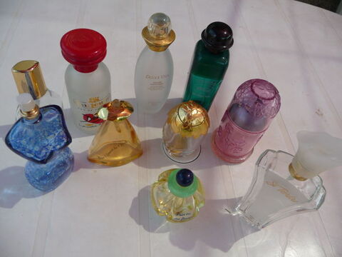 LOT DE FLACONS VIDES MARQUES DIVERSES 25 Beynost (01)