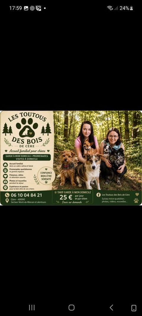 pension familiale pour chiens- Les Toutous des Bois de C&egrave;re aux alentours de Mont de Marsan 0 40090 Cère