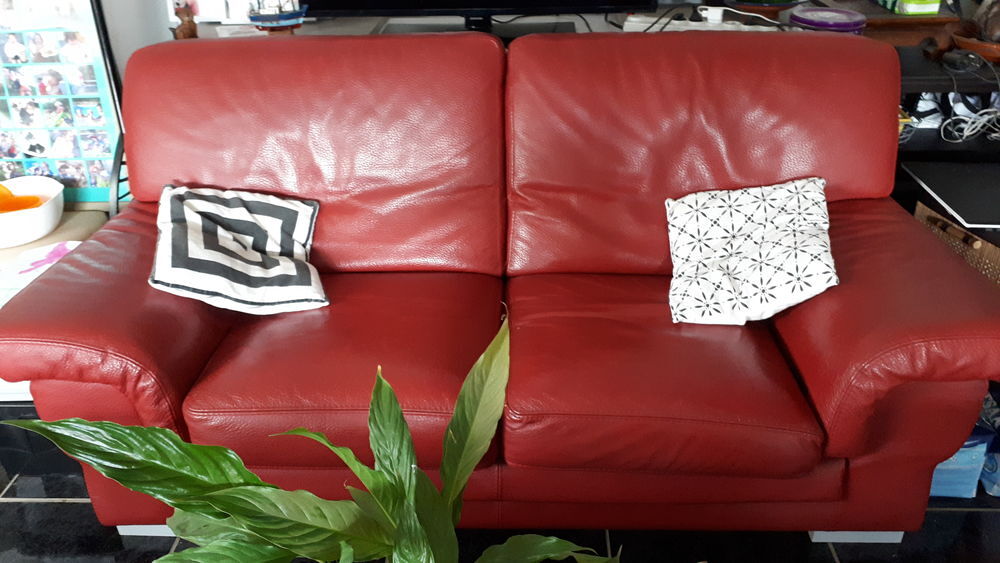 Lot de 2 canap&eacute;s cuir buffle pleines fleurs Meubles