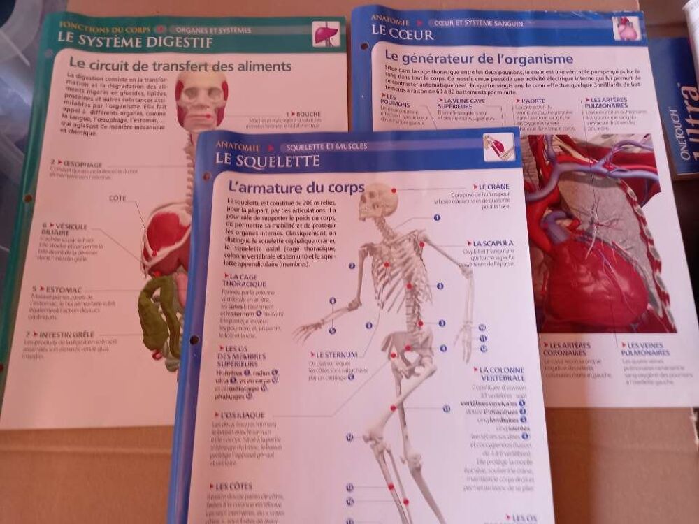 3 fiches sur le corps humain &eacute;ditions Atlas 