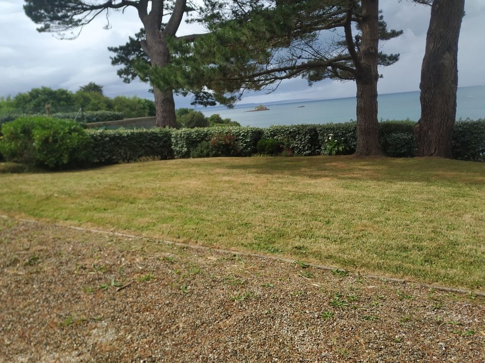   entretien de jardin 