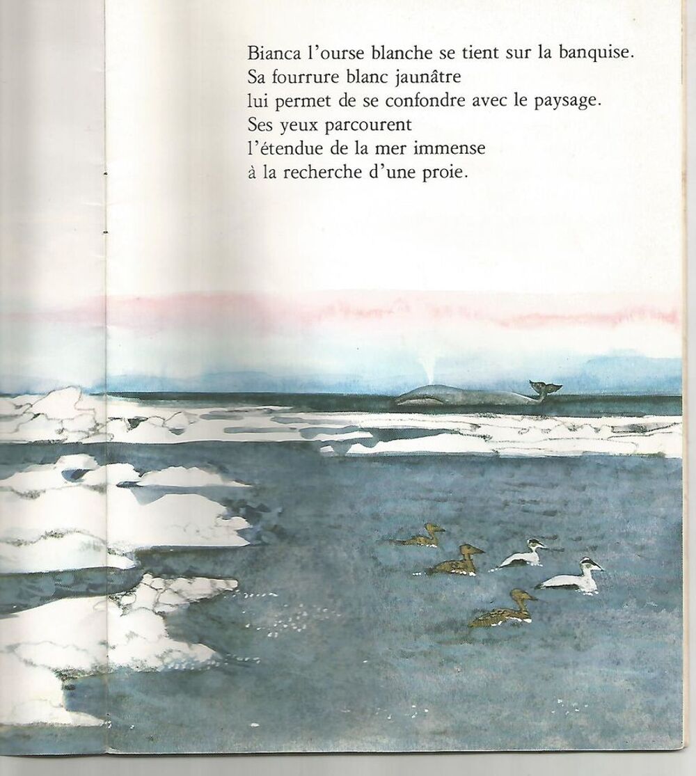 Bianca l'ourse blanche par Guy MARCHAL Livres et BD