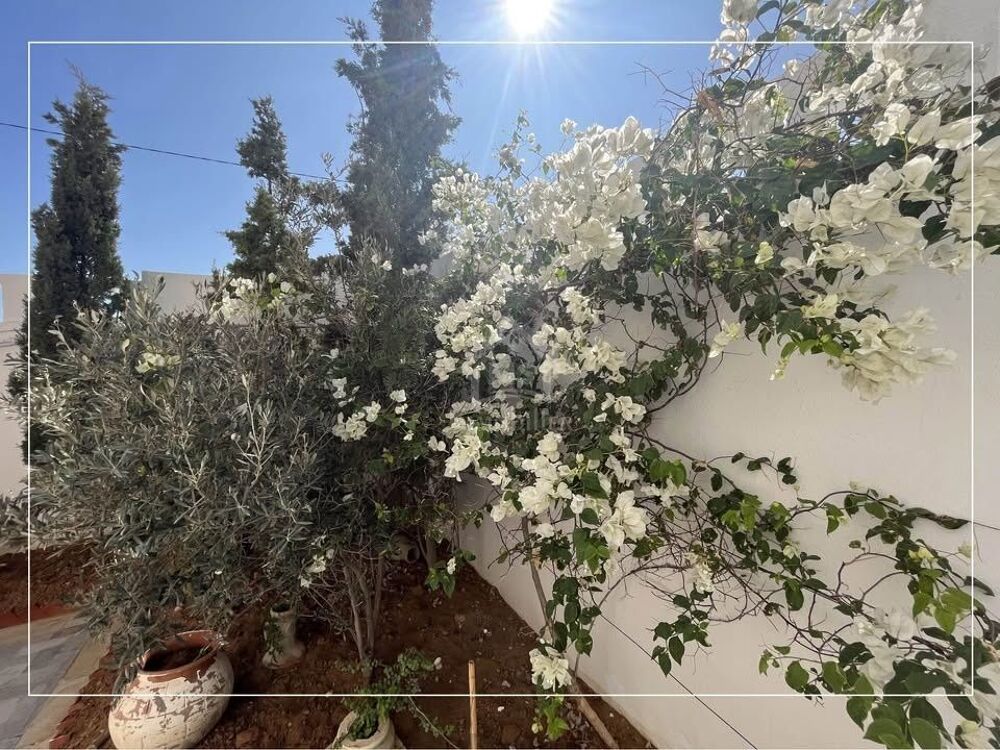 Vente Villa Belle villa avec jardin à Hammamet Sud 51355351 Hammamet sud, tunisia (Tunisie)