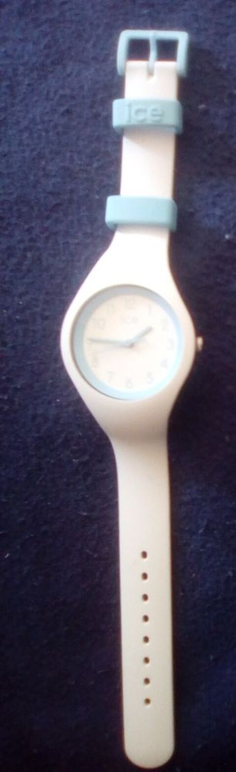 Montre Ice Watch 30 Beauchamp (95)