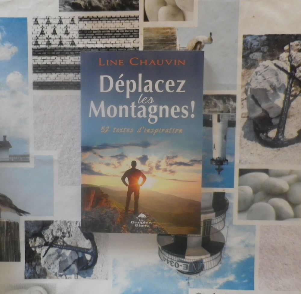 DEPLACEZ LES MONTAGNES ! par Line CHAUVIN Ed. Le Dauphin Bla Livres et BD