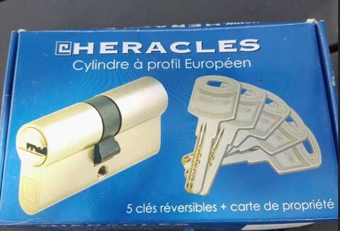 Cylindre HERACLES  profil europen, haute suret. 40 Misson (40)